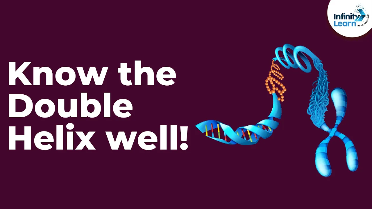 Genetics - Know the DNA Double Helix well! - Lesson 15 | Don't Memorise