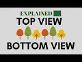 Top View and Bottom View of Binary Tree Interview Problem Explanation Trees