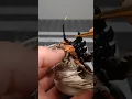 Download Lagu Paint Awesome and Unique Tyranids using this Technique!!! #miniature #tyranids #warhammer40k