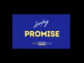 Laufey - Promise [Karaoke]