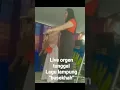 Lagu live orgen tunggal \