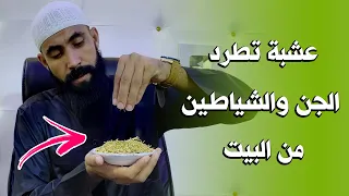 عشبة قوية في بخورها لطرد الجن والشياطين من البيت   والبركة في الرزق دندنها