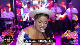 Download MIX PARRANDAS - BERTITA GAMBOA - CONCIERTO MP3