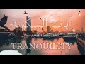 Download Lagu ايات السكينة والطمأنينة للقاريء احمد النفيس💚💚 (بدون اعلانات)