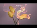 Helsloot - Whatever Realm