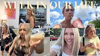 WEEK IN OUR LIFE: getting back into vlogging, new camera, Target runs + trying to rescue a kitten
