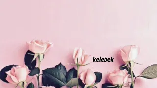 أغنية زهرة من الجنة بدون موسيقى 