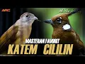 Download Lagu KAPAS TEMBAK GACOR VS CILILIN GACOR
