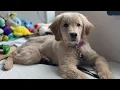 A STAR IS BORN Meet Kloi