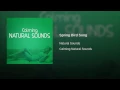 Spring Bird Song - Natural Sounds