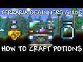 Terraria Beginner s Guide - How to Craft Potions Placed Bottle And Alchemy Table Stations