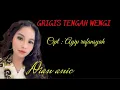 Download Lagu Dian Anic | Grigis tengah Wengi | Tarling [Official Video Liric]