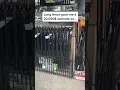Don t pay for expensive fence
