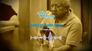 Agua Marina - Ahora Sé Cómo Duele (Audio Oficial)