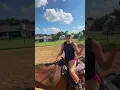 Download Lagu Yeyeye😍🤣🥶 #horse #pony #rodeo #horseriding #