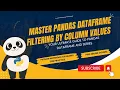 Master Pandas DataFrame Filtering by Column Values Beginners PART 7