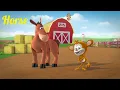 Lagu Kids Videos l Monkey See Monkey Do l Horse l Cartoon l