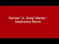 Damian "Jr. Gong" Marley -  Medication Remix lyric video