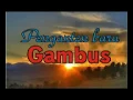 Download Lagu Irama padang pasir penganten baru gambus