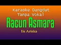 Download Lagu RACUN ASMARA - Iis Ariska ( Karaoke Dangdut Tanpa Vokal )