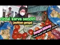 Download Lagu Mulung Sayur Sortiran Pedagang‼️ Rezeki Tak Akan Tertukar⁉️