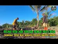 Download Lagu ALHAMDULILLAH 4 PLACES ALSO PLACED PAKDE NARTO MAS OKI PAK KARNI WOOD CUTTER