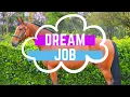 HOW I GOT MY DREAM HORSE JOB
