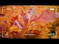 Morning Energy 🍂 Happy songs to start your day | Best Indie/Pop/Folk/Acoustic Playlist