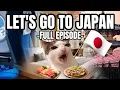 CAT MEMES FAMILY VACATION COMPILATION EP 2