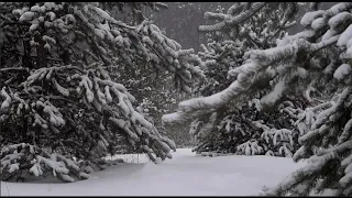 Wonderful Music For Relaxation That Energizes 