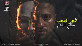 شجر المحبه طرح والطرح كان فاسد   جرب في يوم تختفي مين حس بغيابك    صالح الليثي   منوعات      دندنها