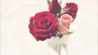 عبارات شكر دندنها