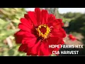HOPE FARMS HTX CSA HARVEST URBAN FARMING IN HOUSTON TX