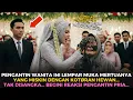Download Lagu Pengantin Wanita Lempar Kotoran Ke Mertua, Tapi Seminggu Kemudian Semua Tercengang