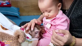 Diem gently stroked Monkey Kaka to help fall asleep, it was so adorable.