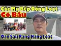 Download Lagu Minh Tuệ / Các Chị Nấu Bếp Đồng Loạt Có Bầu Tiểu Đầu Đà Sắp Ra Đời