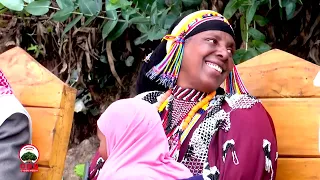 Dokimantarii Guddifachaa Elelleen Dhabde Badhaate 