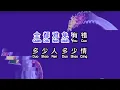 刘德华 Andy Lau  《 难免有错 》  nan mian you cuo