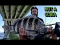 Download Lagu It Doesn't Always Go As Planned | CRAZIEST Day Sheepshead Fishing CBBT Ever!
