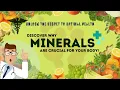 The Surprising Truth About How Minerals Impact Your Health