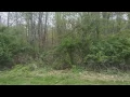 Stokes State Forest - Pet friendly campgrounds Sites 131 thru 134 View