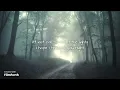 Onelife - by dermott kennedy  (lyric)