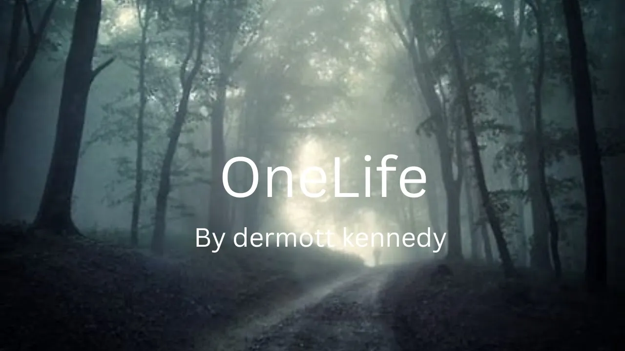 Onelife - by dermott kennedy  (lyric)