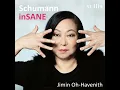 Humoreske, Op. 20: Hastig - Nach und nach immer lebhafter und stärker - Wie vorher - Adagio