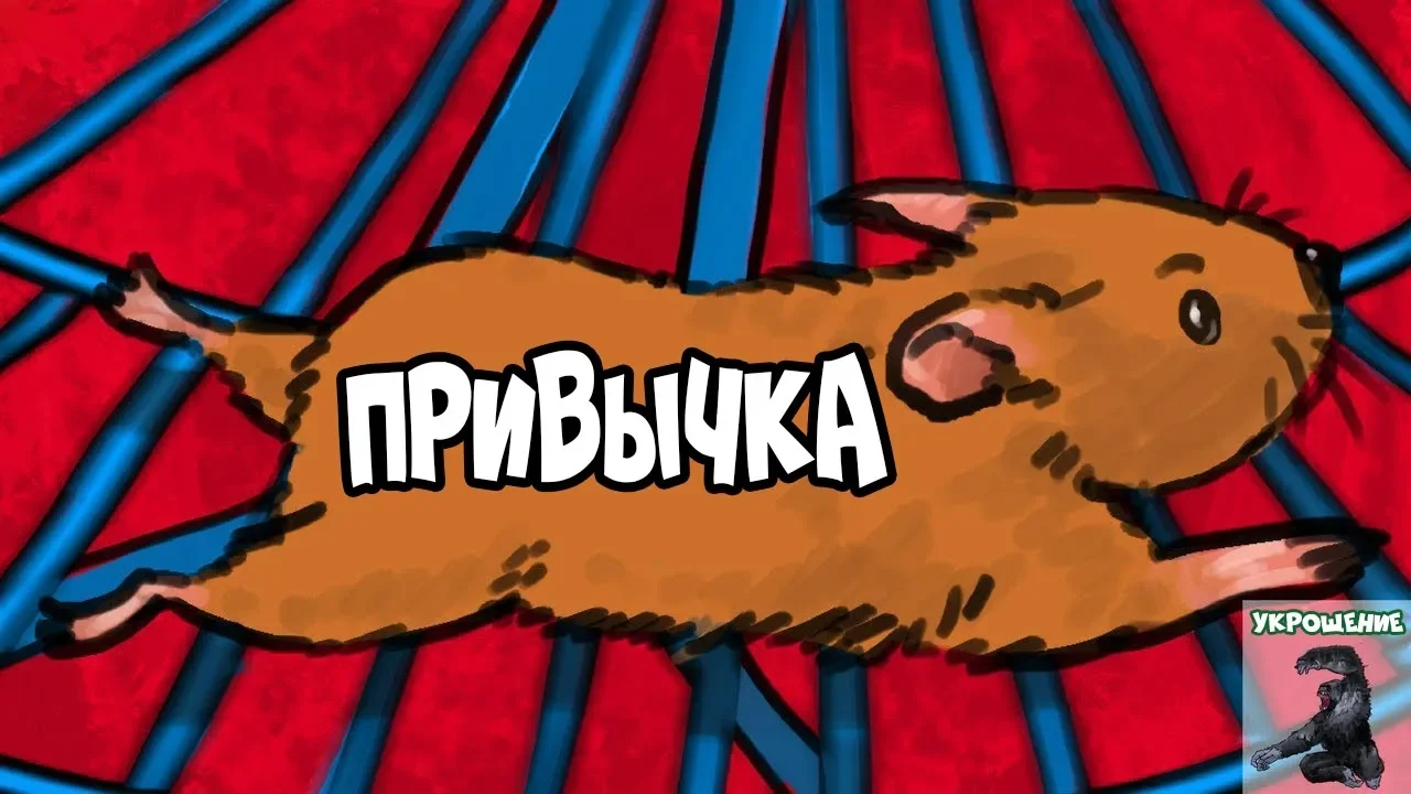 Как Работают Привычки (Структура Привычки)| Курс Укрощение - Урок 2