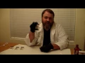 Drug Testing using Marquis