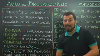 Agro / biocombustíveis