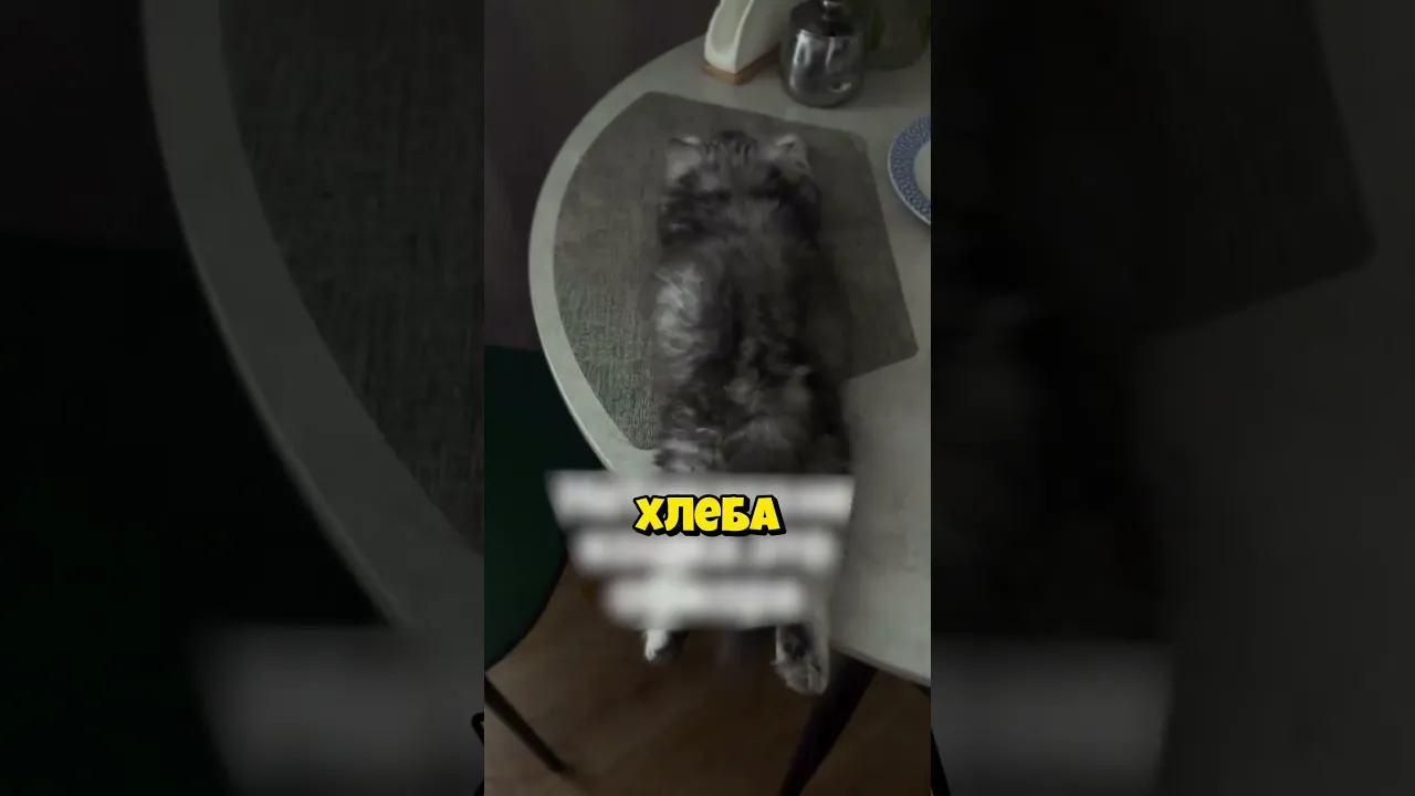 Новый рот в семье!
