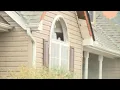 Tornado damages homes in Kannapolis North Carolina