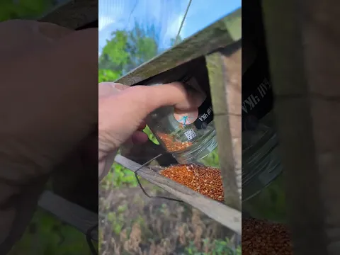 Всем доброго утра и цветущего дня!